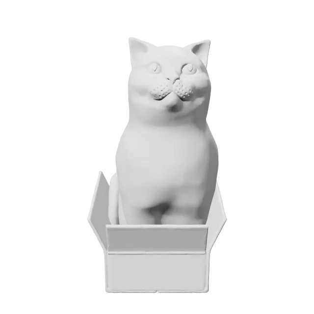 British Shorthair Cat in a Box – 360° preview, front view, drawn from the designer's file
