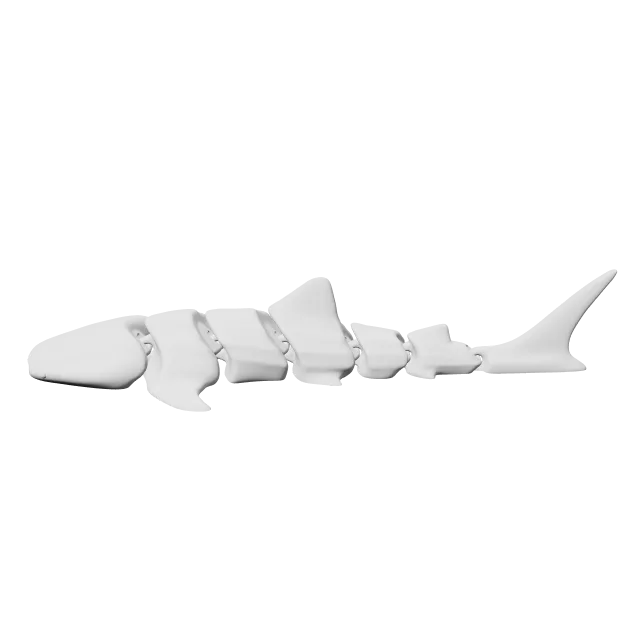 Articulated Whale Shark – 360° preview, front view, drawn from the designer's file