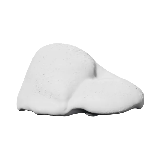 Anatomy Keychains Pack – 360° preview, front view, drawn from the designer's file