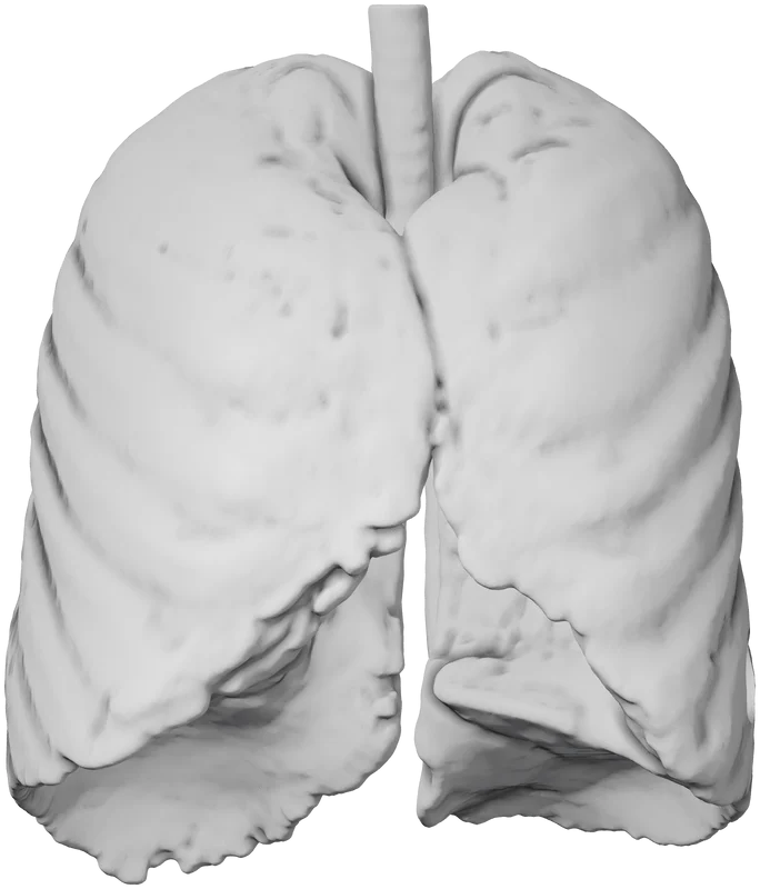 Part 3, Part 3, 40 × 47 mm