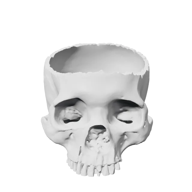 Realistic Skull Candy Bowl – 360° preview, front view, drawn from the designer's file