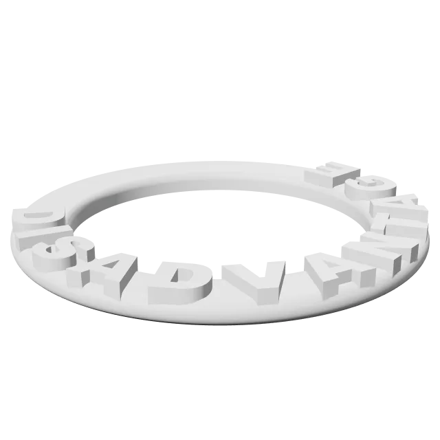 Advantage and Disadvantage Rings for D&D – 360° preview, front view, drawn from the designer's file