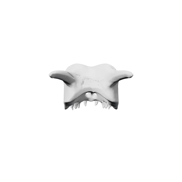 Charizard Skull – 360° preview, front view, drawn from the designer's file