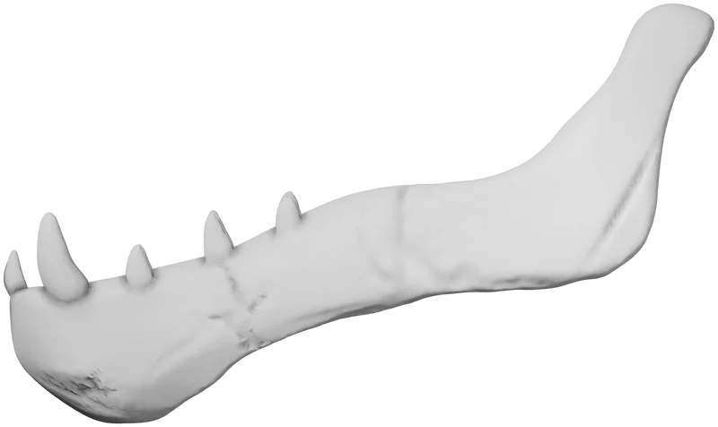 Part 2, Part 2, 47 × 28 mm