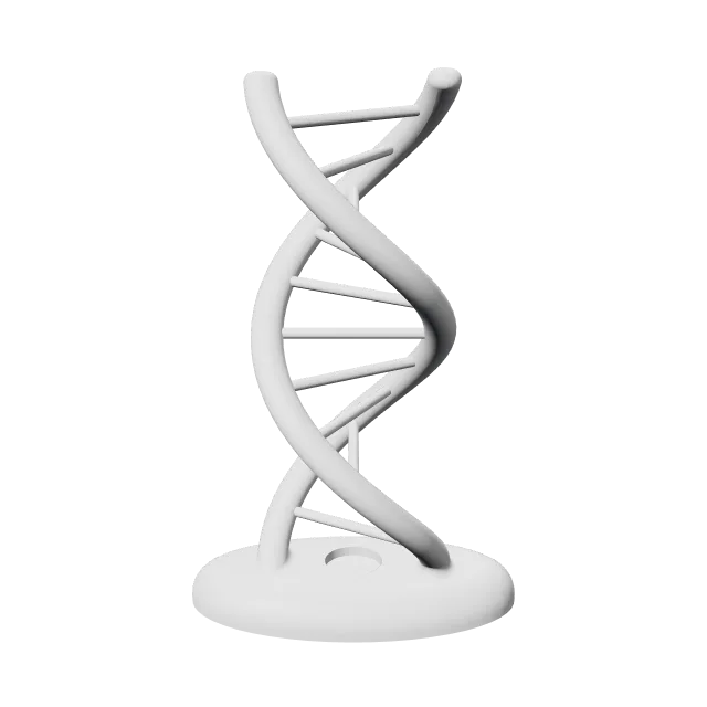 DNA Double Helix Model – 360° preview, front view, drawn from the designer's file