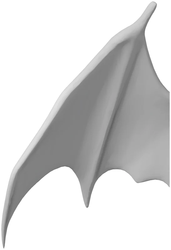 Part 4, Wing Right, 66 × 97 mm