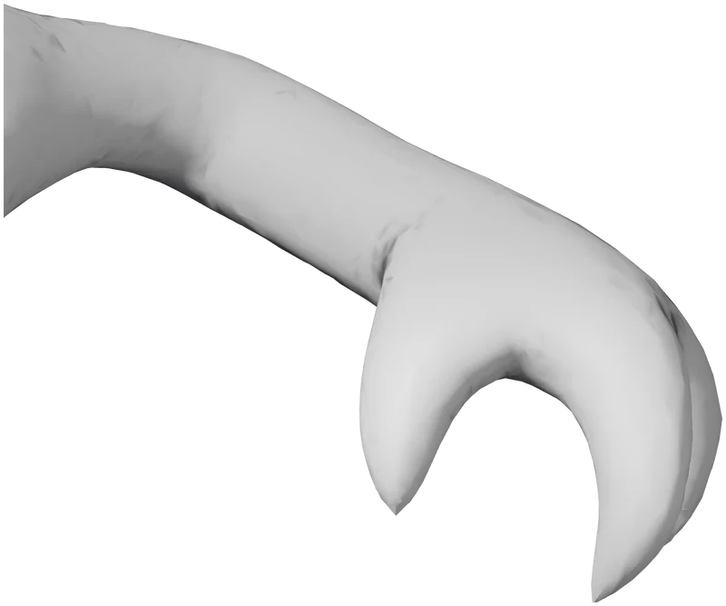 Part 7, Arm Left, 30 × 25 mm