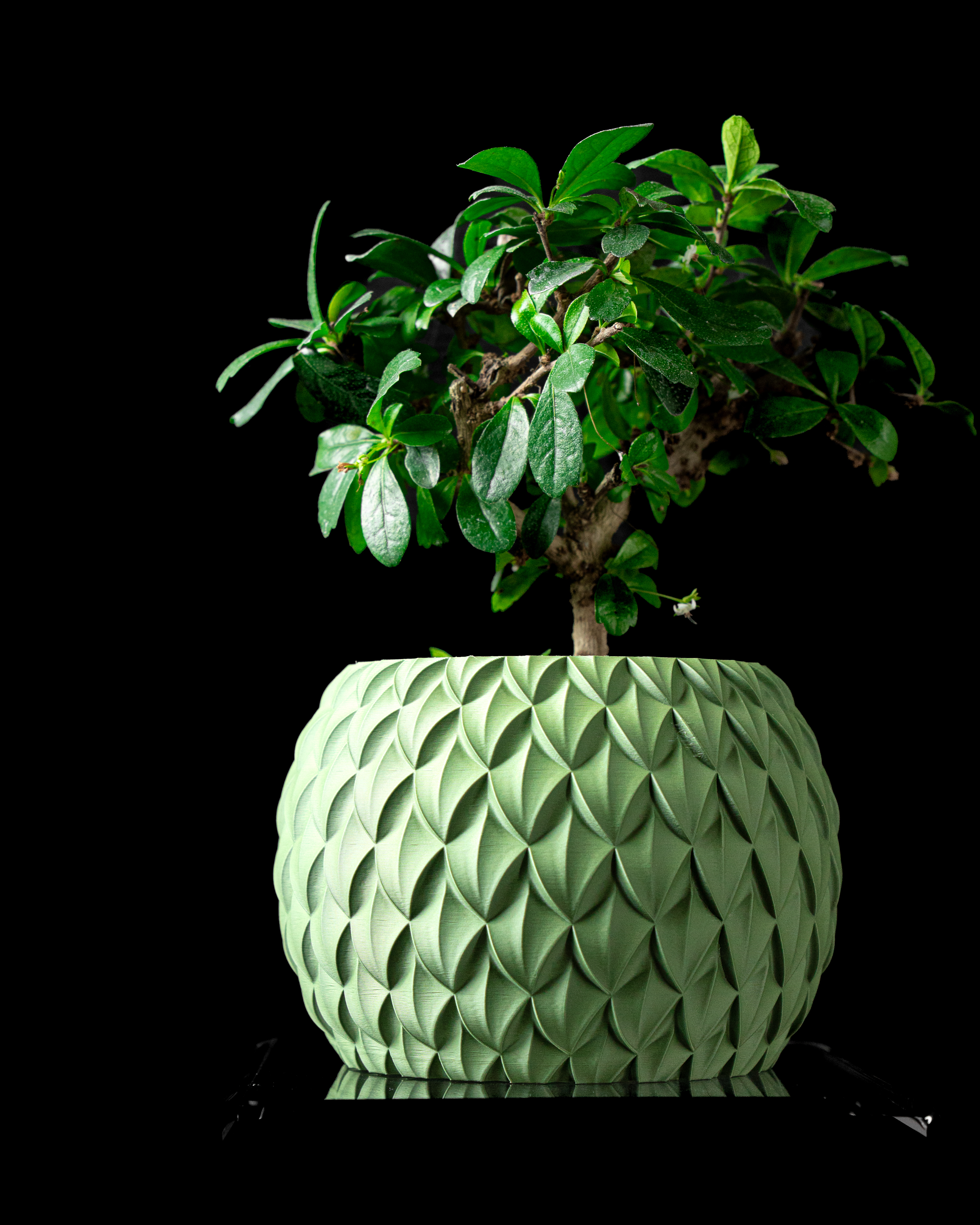 Scale - Planter Pot