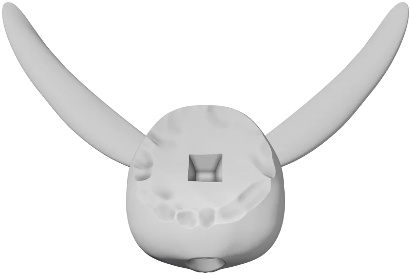 Part 5, Part 5, 80 × 53 mm