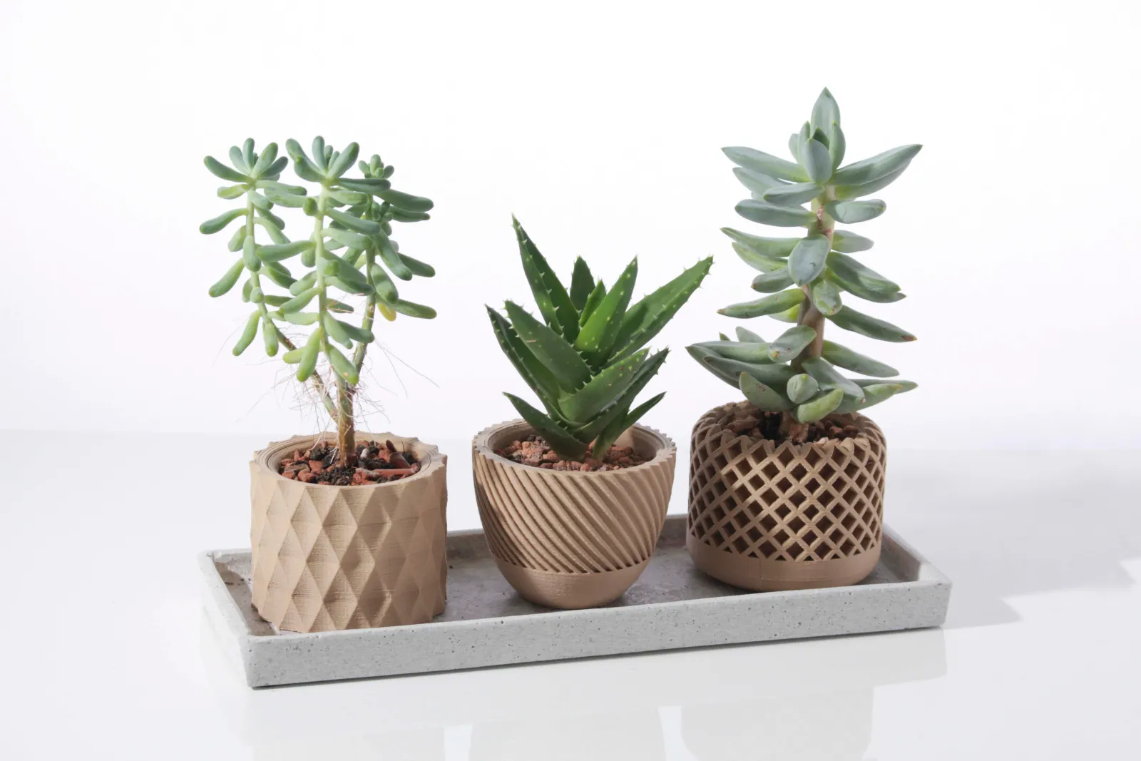 Modern Geometric Succulent Pot – Textured Mini Planter Set