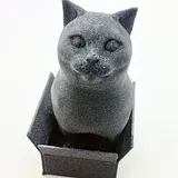 British Shorthair Cat in a Box – thumbnail 1