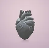 Anatomical Heart – thumbnail 1