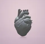 Anatomical Heart – thumbnail 3