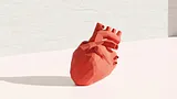 Anatomical Heart - Low Poly (Decoration) – thumbnail 3