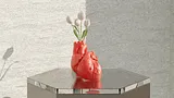 Anatomical Heart - Vase (Decoration) – thumbnail 1