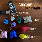 Anatomy Keychains Pack – thumbnail 1