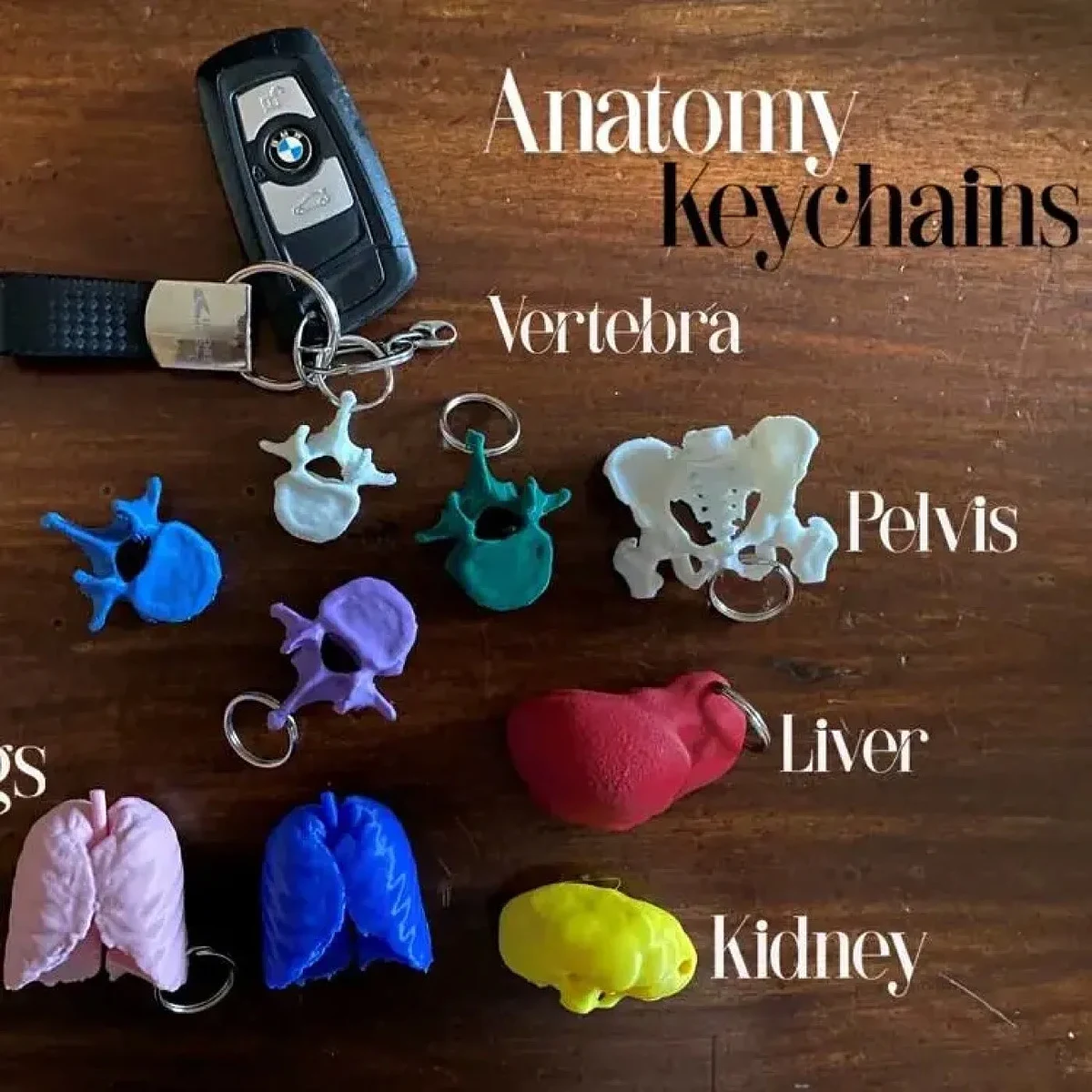 Anatomy Keychains Pack – view 3