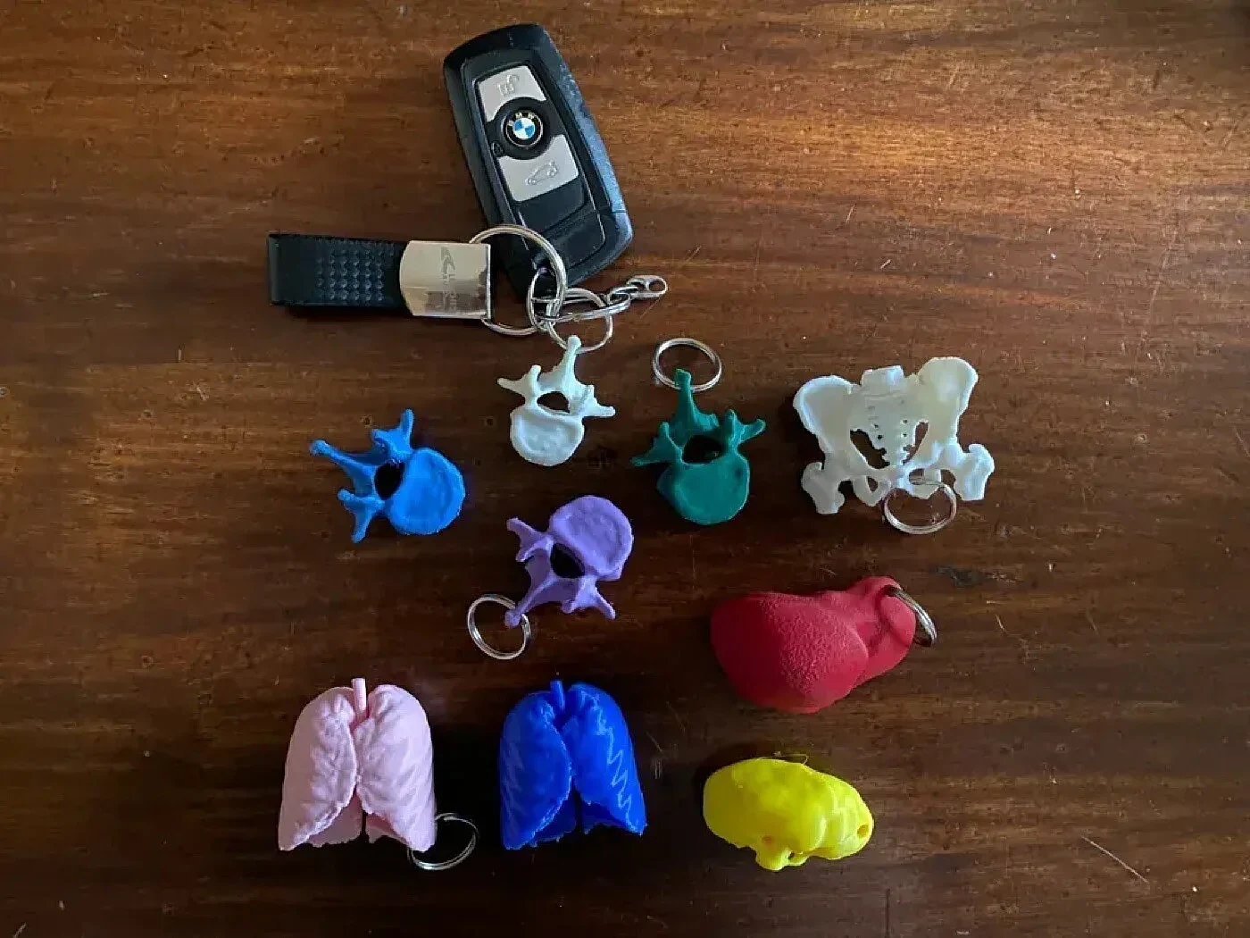 Anatomy Keychains Pack – view 4