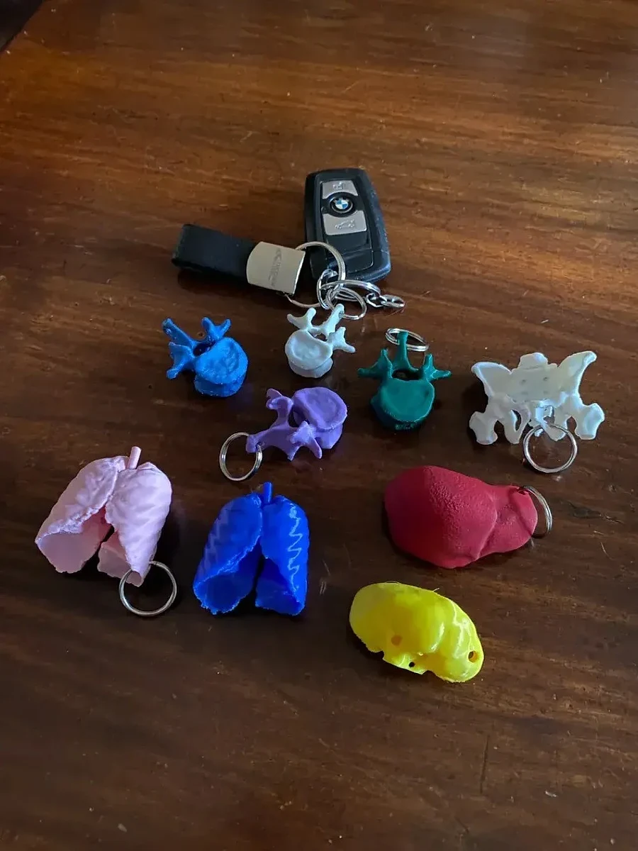 Anatomy Keychains Pack – view 5