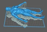 Male Body Anatomy – thumbnail 4