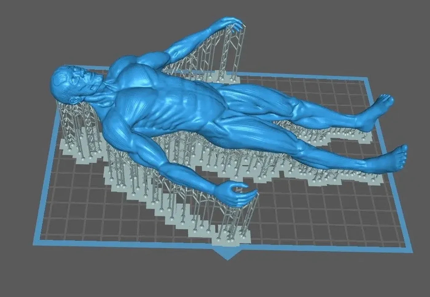 Male Body Anatomy – view 4