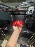 Flexi Charizard – thumbnail 4