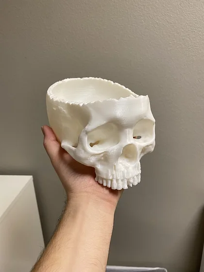 Realistic Skull Candy Bowl