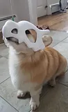 Cubone Pet Mask – thumbnail 3