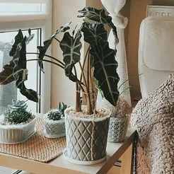 Big Diamond Pattern Planter