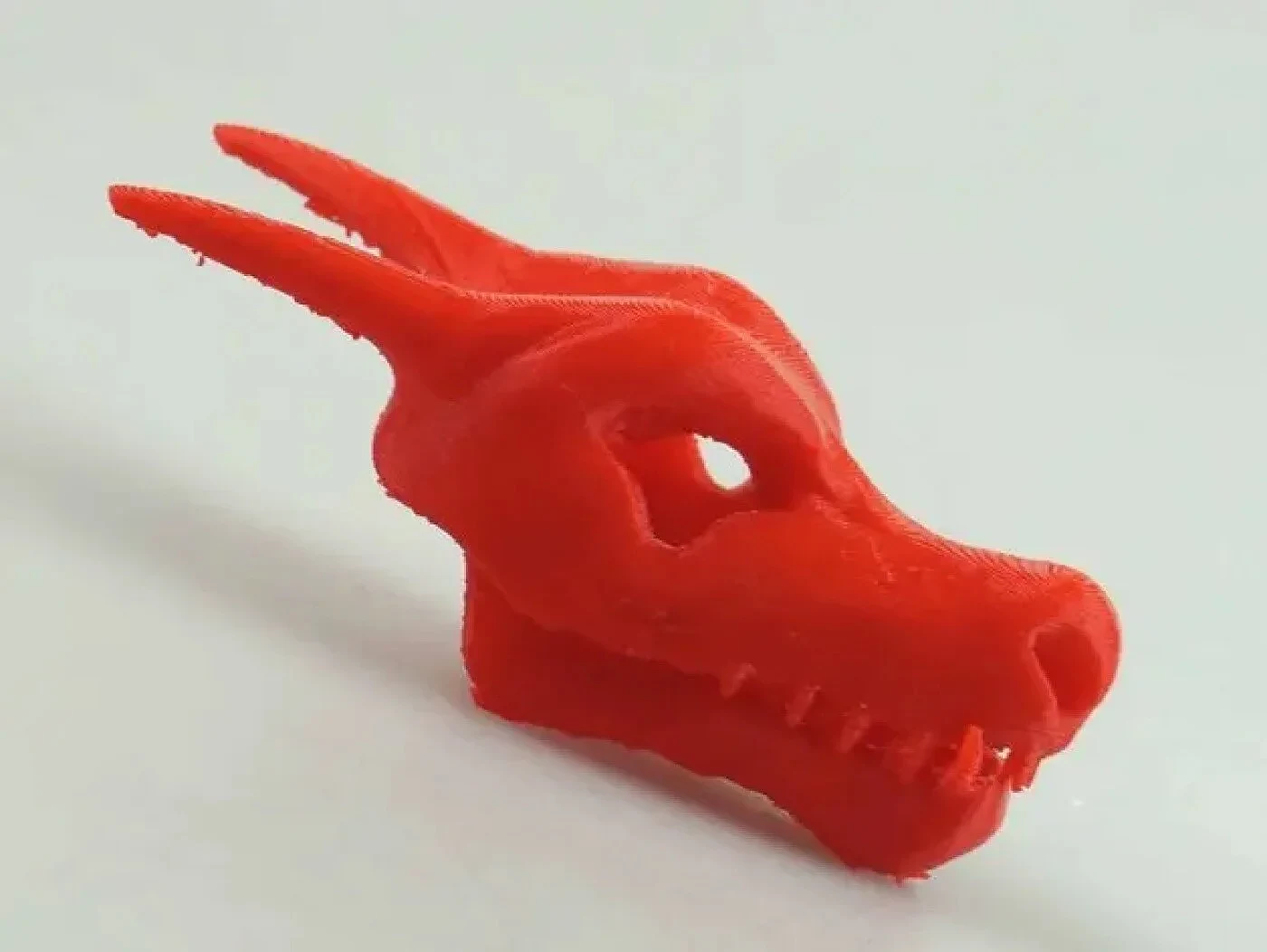 Charizard Skull – view 3