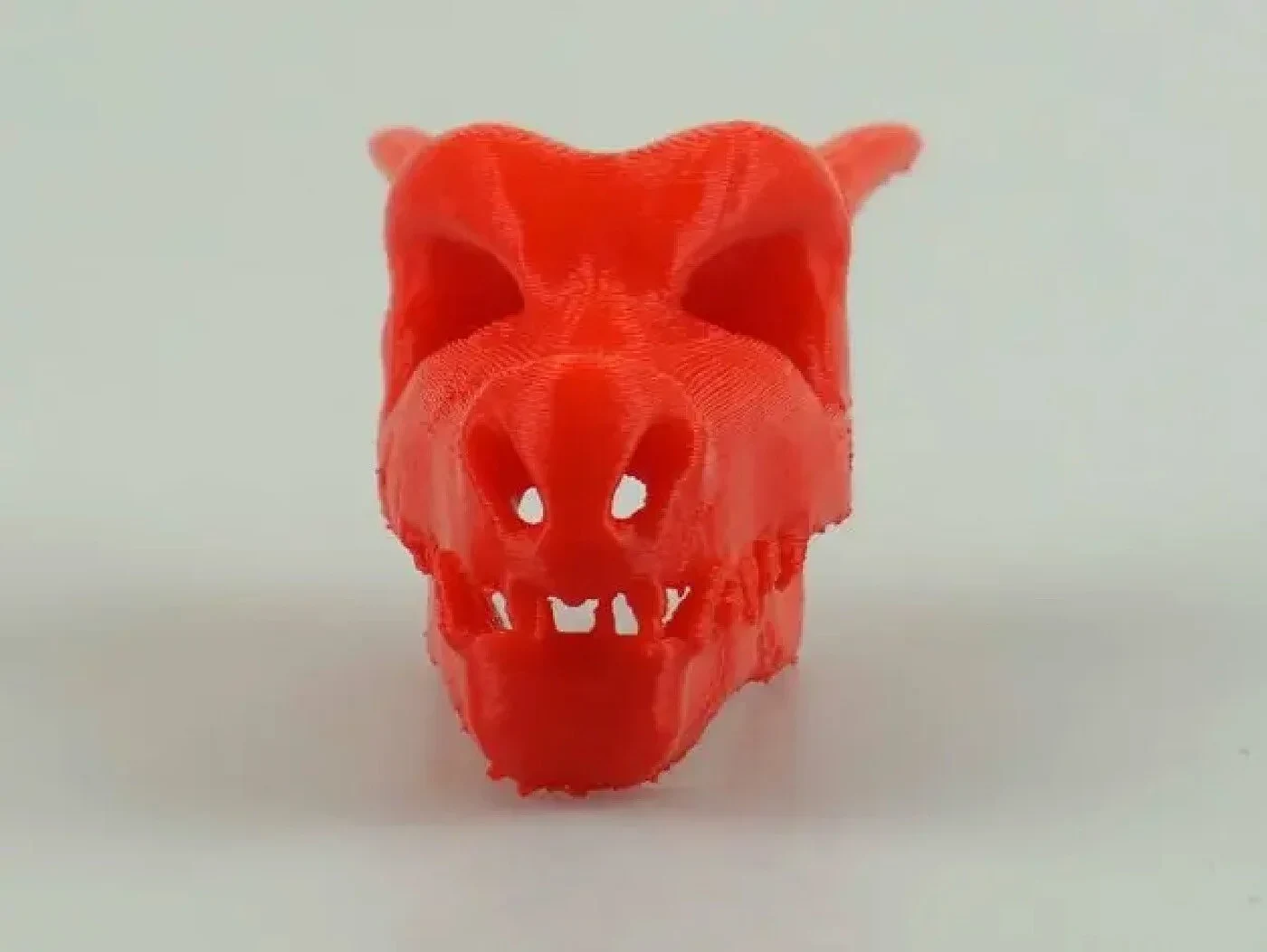 Charizard Skull – view 4