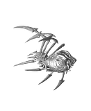 Elise Spider Form - League of Legends – thumbnail 1