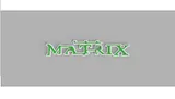 The Matrix Logo Wall Sign – thumbnail 1